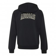Adida Seasonals Collegiate Typography Full Zip Hoody Junior (KS5138)