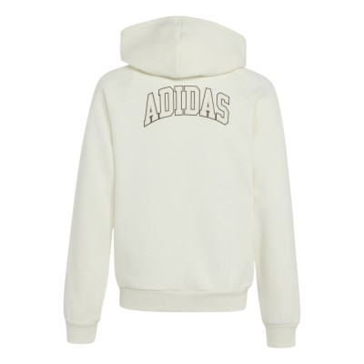 Adidas Seasonals Collegiate Typography Full Zip Hoody Junior (KS5141)