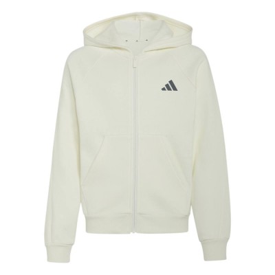 Adidas Seasonals Collegiate Typography Full Zip Hoody Junior (KS5141)