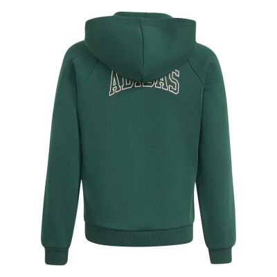 Adidas Seasonals Collegiate Typography Full Zip Hoody Junior (KS5142)