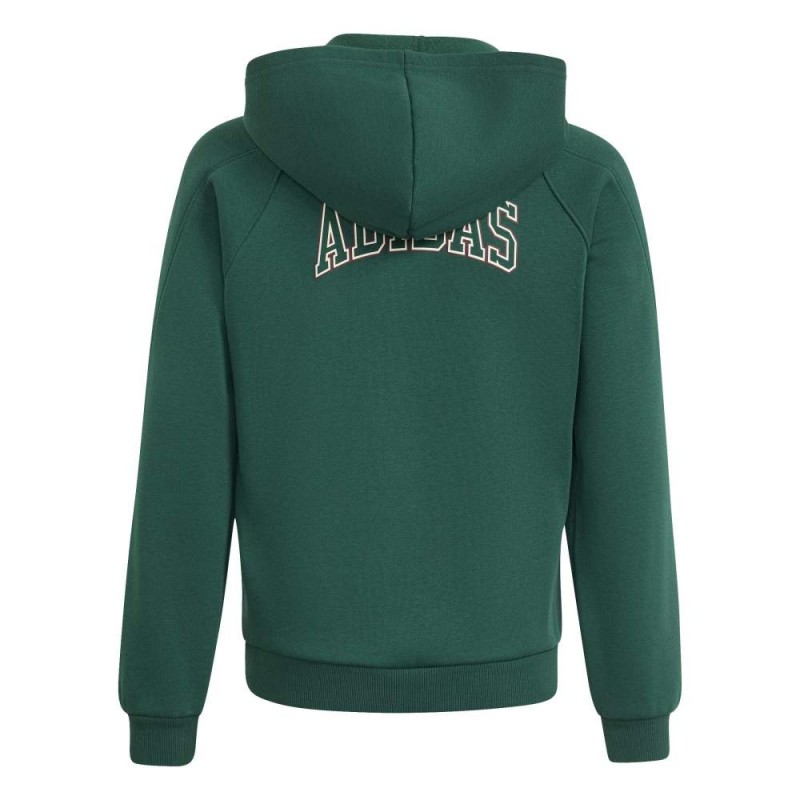 Adidas Seasonals Collegiate Typography Full Zip Hoody Junior (KS5142)