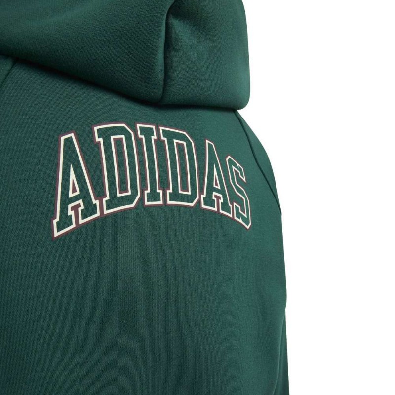 Adidas Seasonals Collegiate Typography Full Zip Hoody Junior (KS5142)