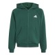 Adidas Seasonals Collegiate Typography Full Zip Hoody Junior (KS5142)