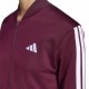 Adidas DAYREADY TRACKSUIT (KT0512)