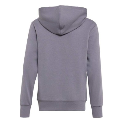 Adidas ESSENTIALS HOODIE (KT3383)