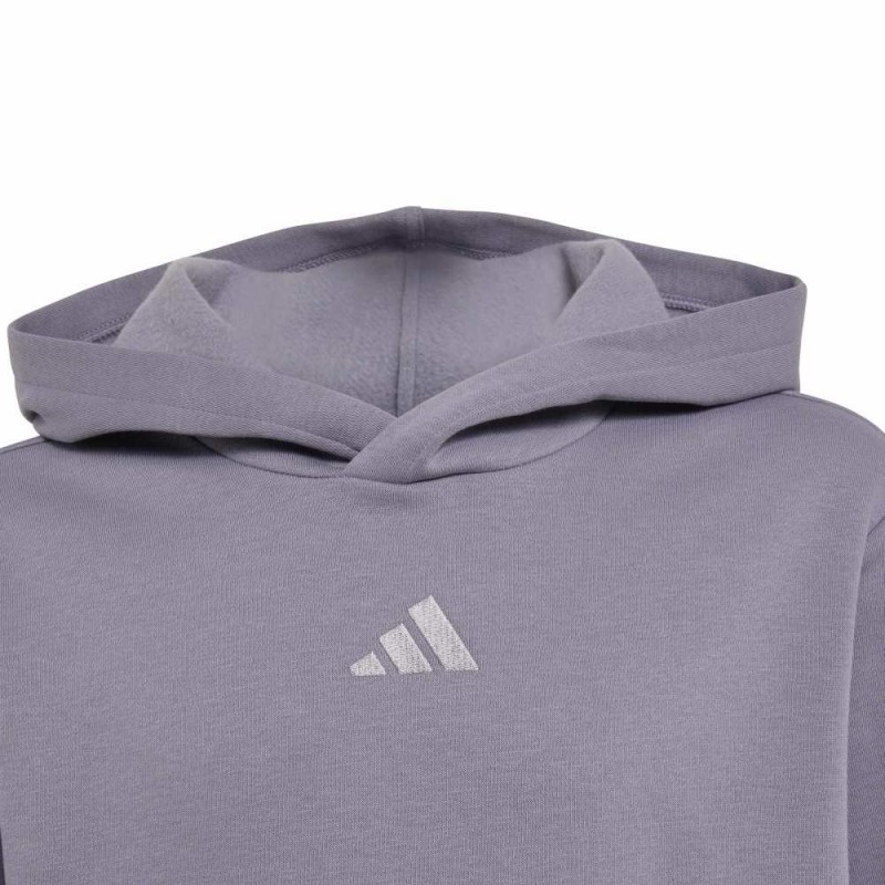Adidas ESSENTIALS HOODIE (KT3383)