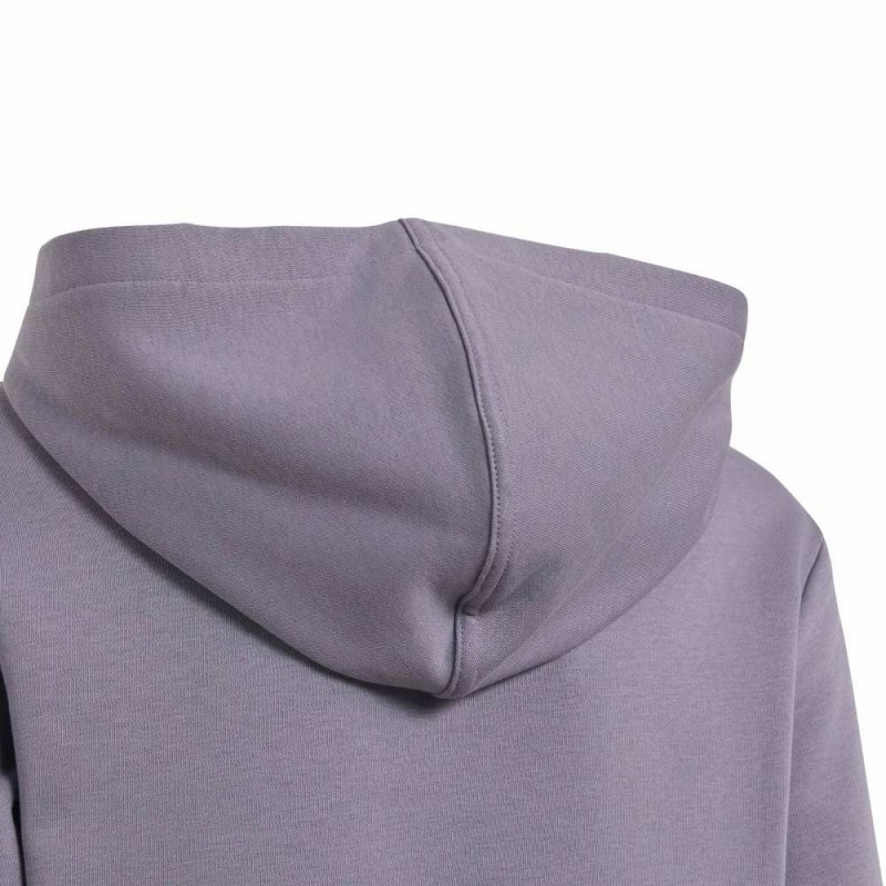Adidas ESSENTIALS HOODIE (KT3383)