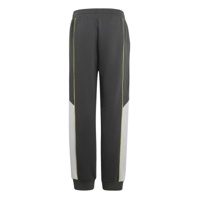 Adidas COLOR BLOCK PANTS (KT4123)