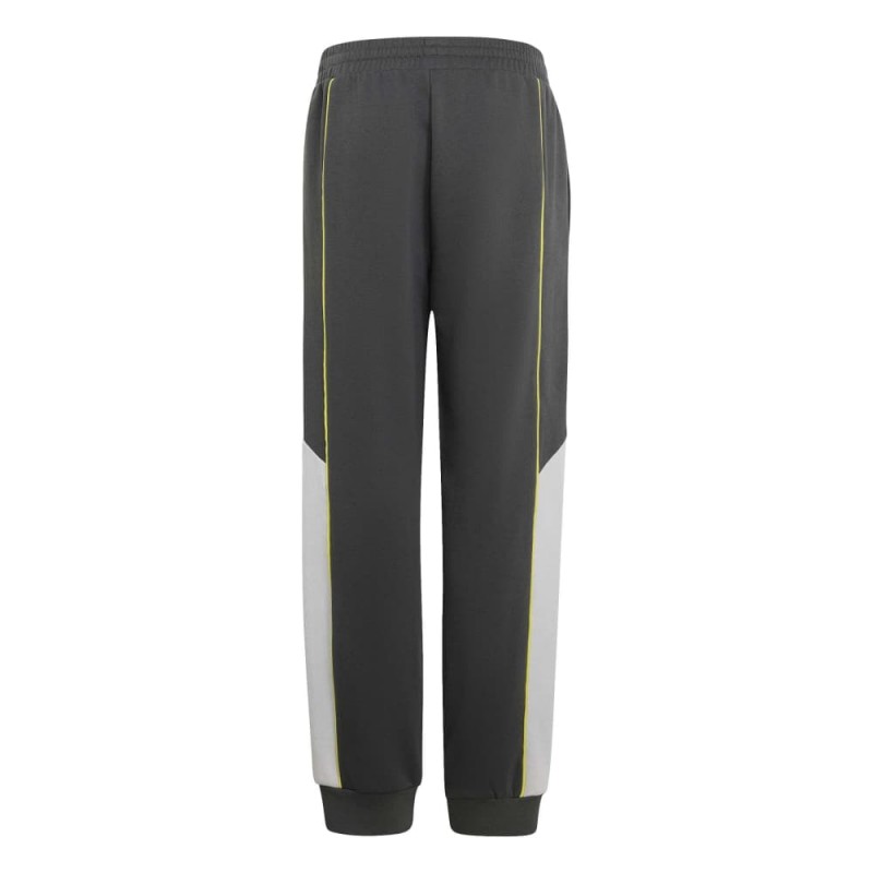 Adidas COLOR BLOCK PANTS (KT4123)