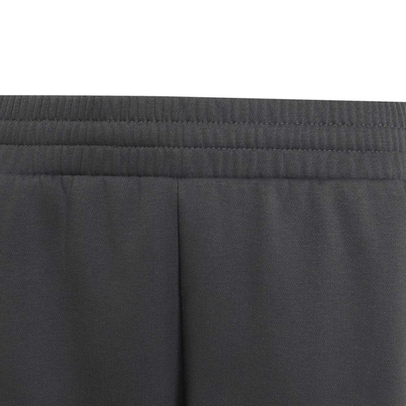 Adidas COLOR BLOCK PANTS (KT4123)