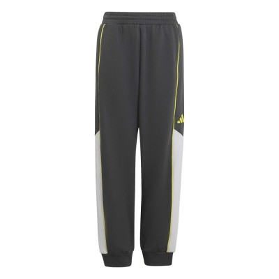 Adidas COLOR BLOCK PANTS (KT4123)