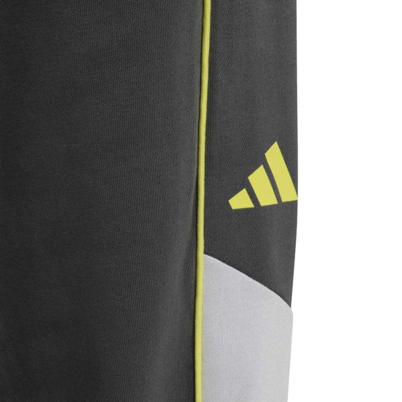 Adidas COLOR BLOCK PANTS (KT4123)