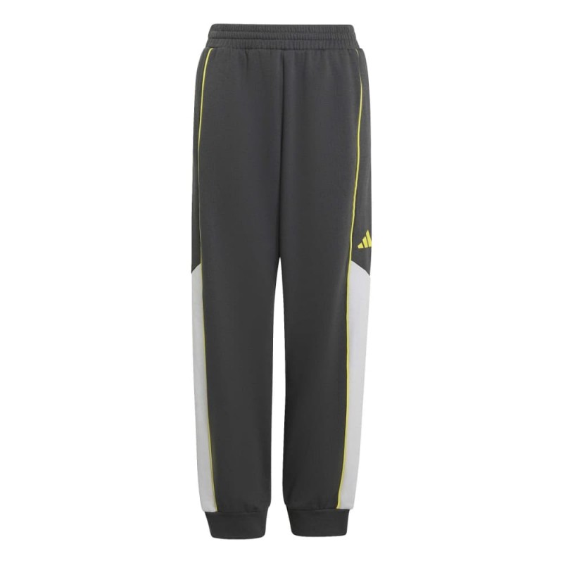 Adidas COLOR BLOCK PANTS (KT4123)