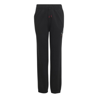 Adidas BOYS SLOGAN FLEECE PANTS (KW9983)