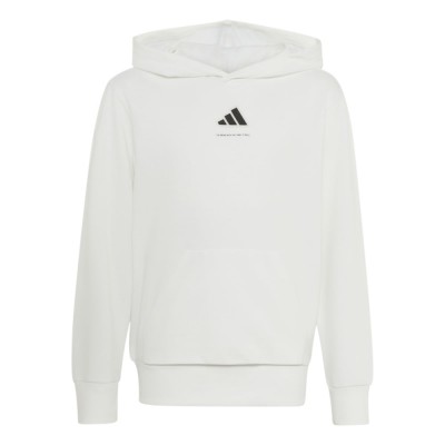 Adidas BOYS SLOGAN FLEECE HOODIE (KX2476)
