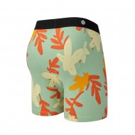 STANCE PARADISE BOXER BRIEF (M802C25PAR JAD)